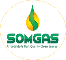 SomGas